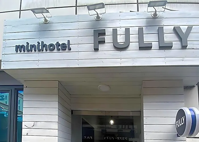 Fully Mini Seul