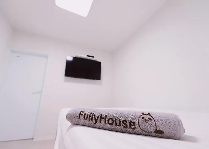 Fully Mini 2*